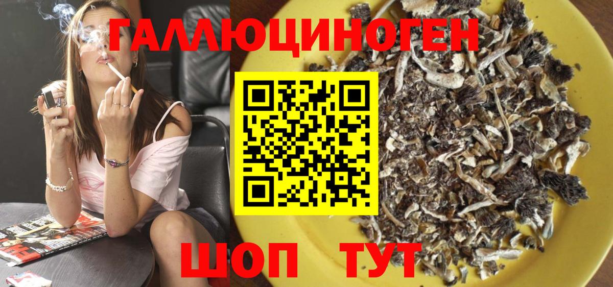 Шарыпово  Псилоцибиновые грибы Magic Shrooms  Вход с VPN 